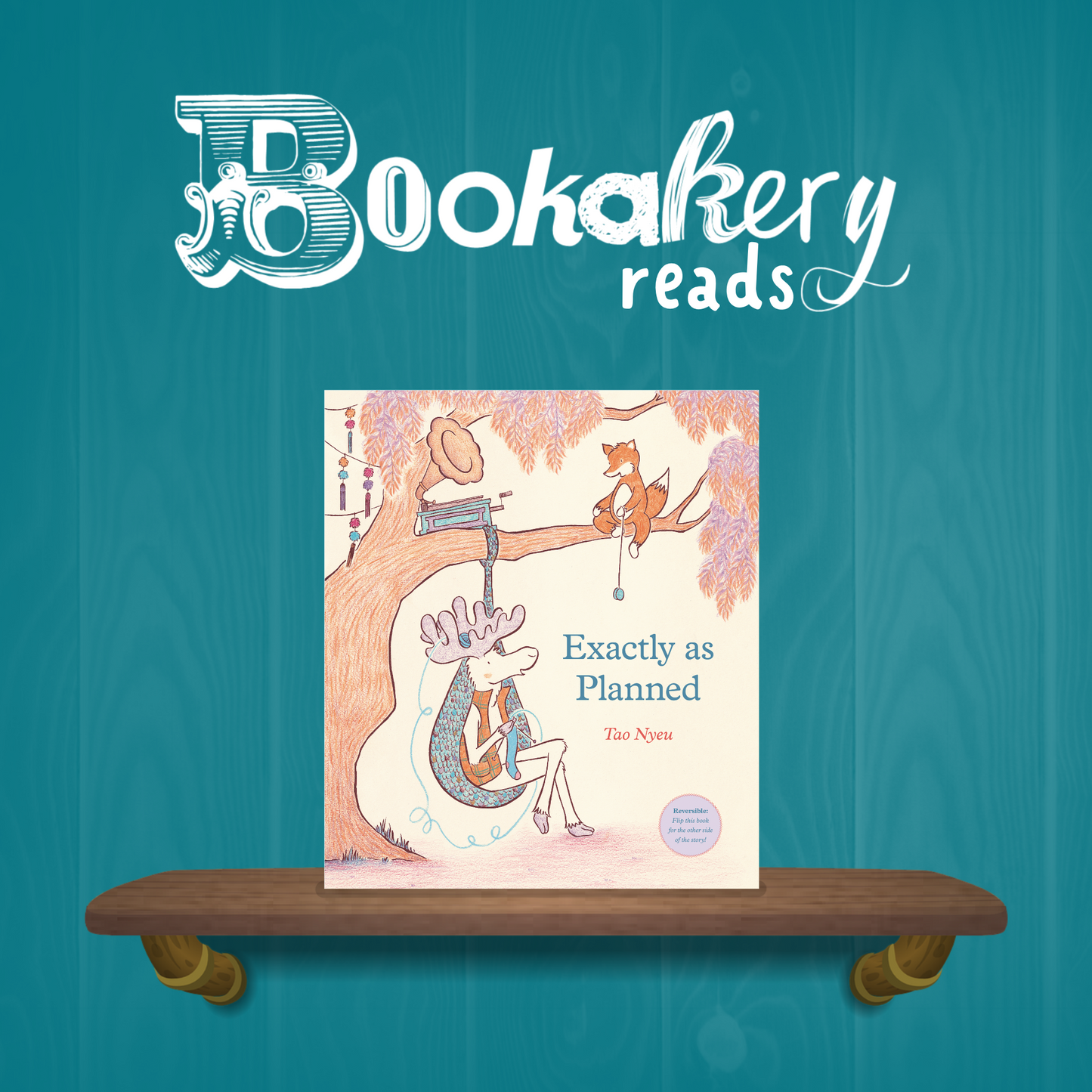 Exactly As Planned Picture Book