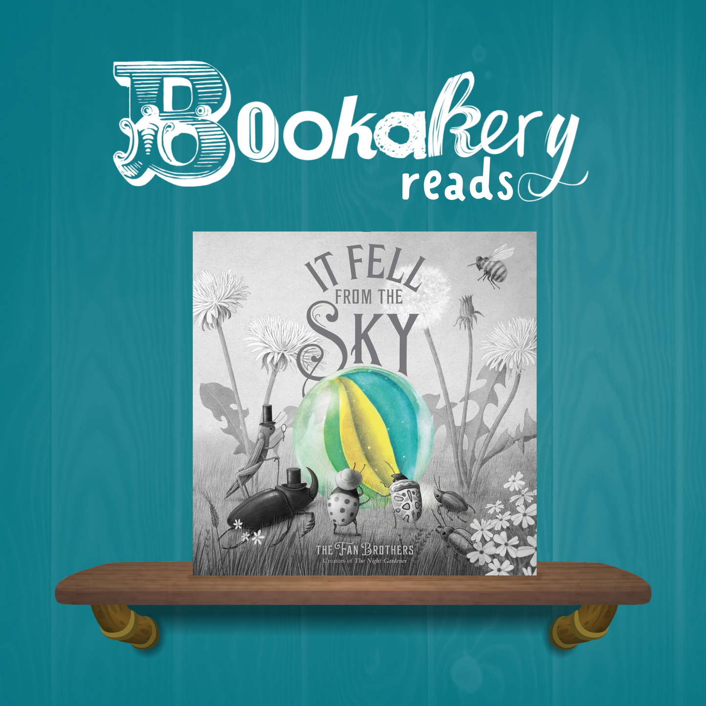 It Fell From the Sky Picture Book