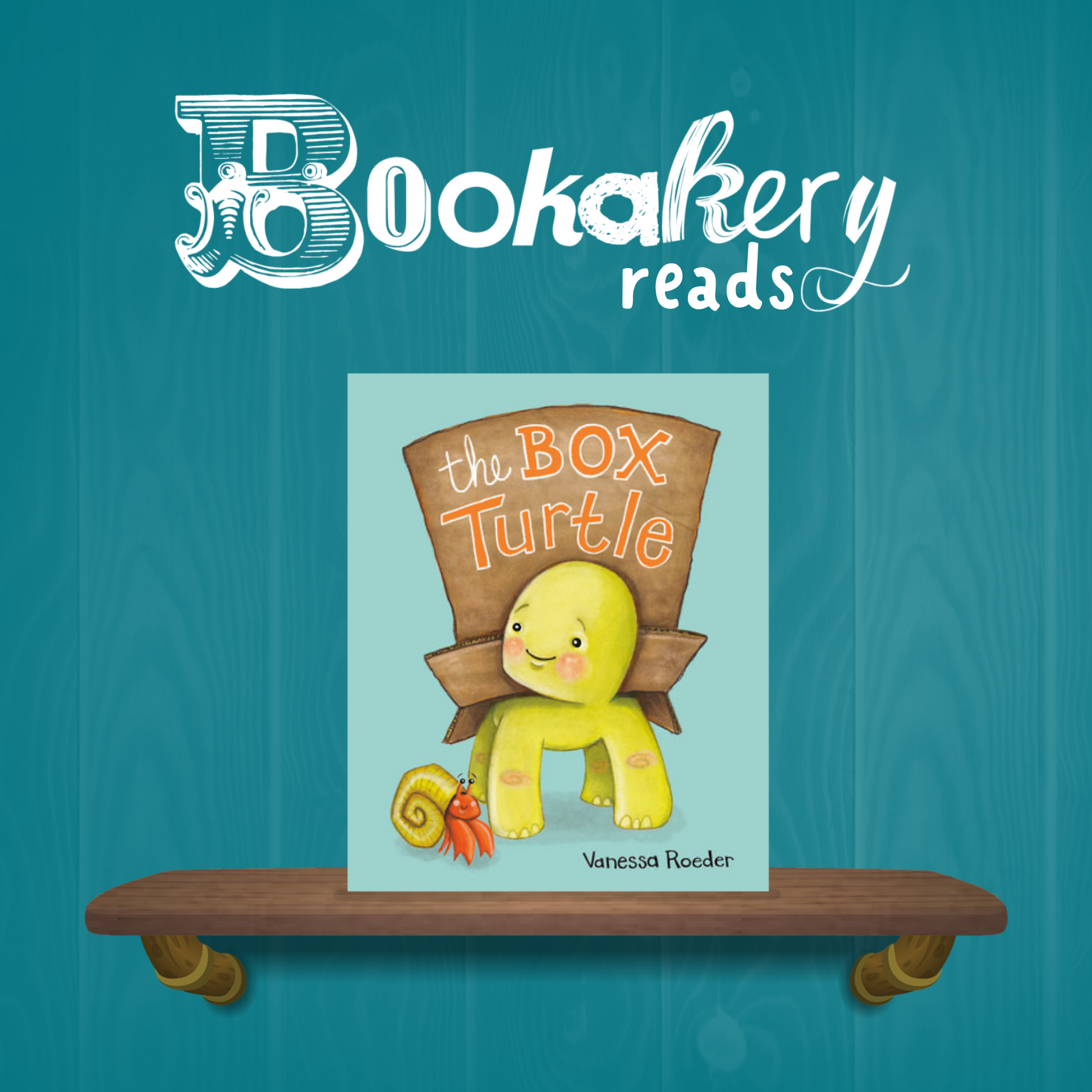 The Box Turtle Picture Book