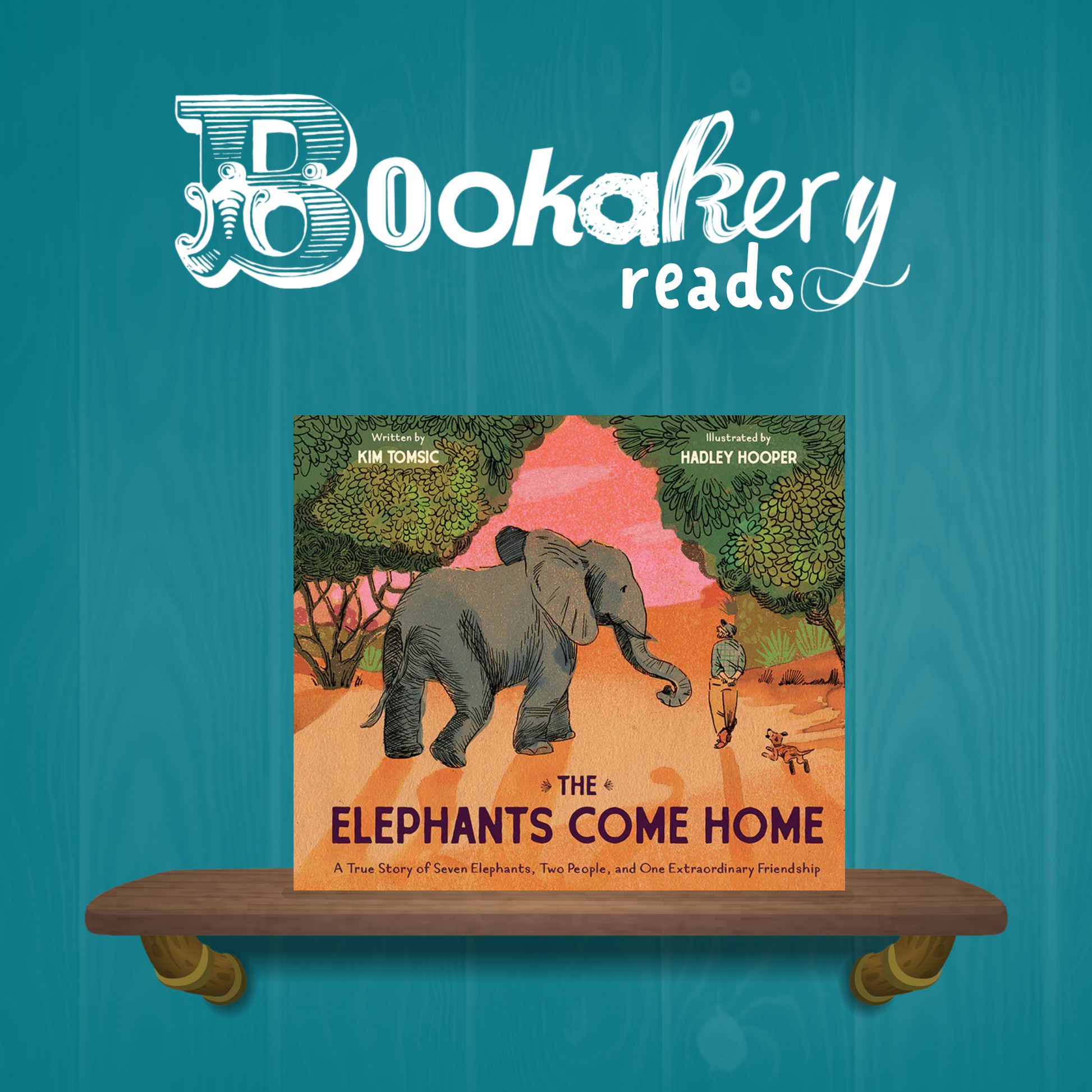 The Elephants Came Home - A True Story of Seven Elephants, Two People, and One Extraordinary Friendship Picture Book